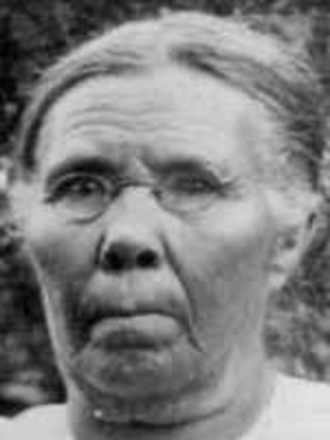 Ruth Ann Robinson (1851 - 1929) Profile